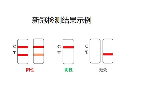 新型冠狀病毒抗原檢測試劑盒說明書.jpg